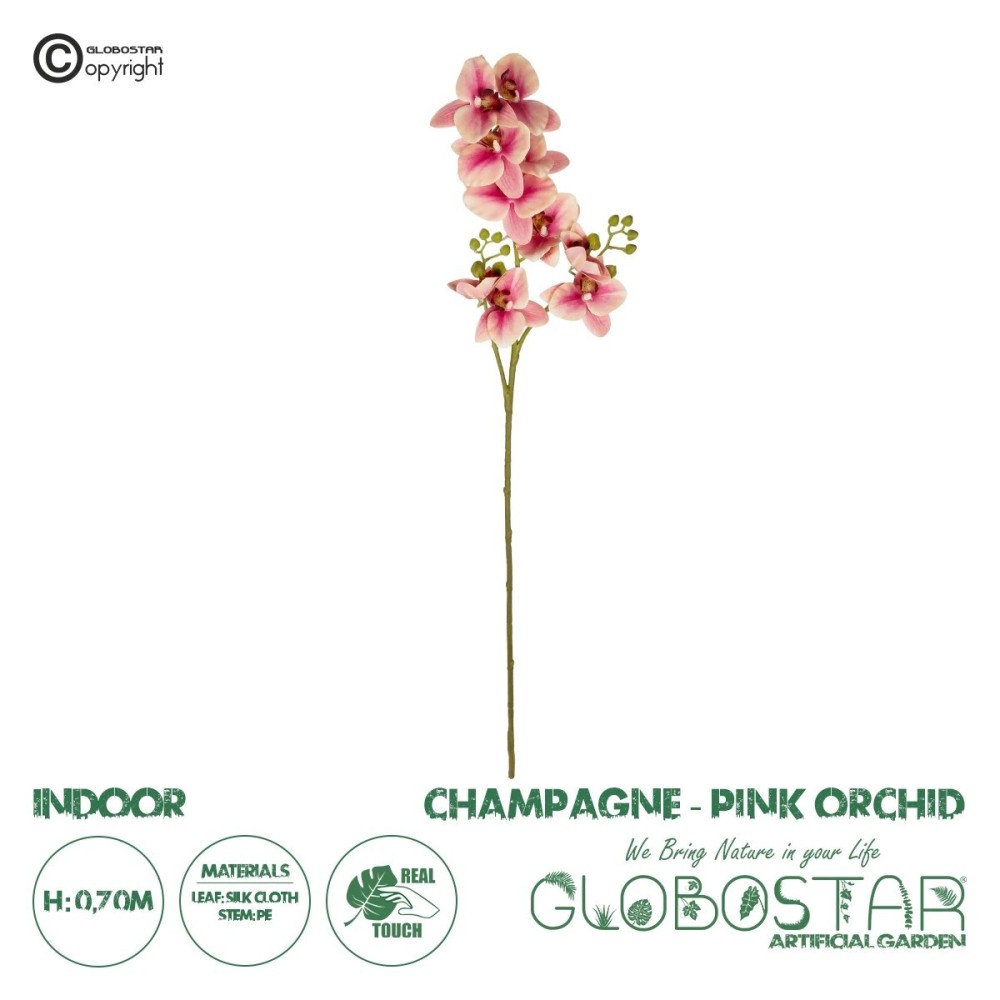 GloboStar® Artificial Garden CHAMPAGNE PINK ORCHID  BRANCH 21411 Τεχνητό Διακοσμητικό Κλαδί Σαμπανί Ορχιδέα Y70cm